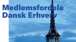 Dansk Erhverv fordele